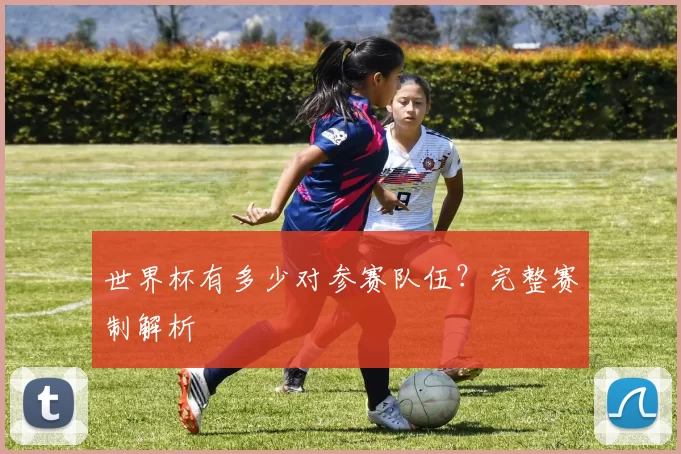世界杯有多少对参赛队伍?完整赛制解析