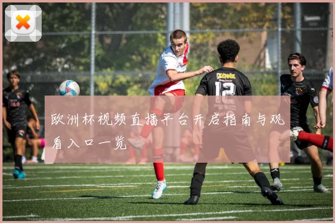 欧洲杯视频直播平台开启指南与观看入口一览