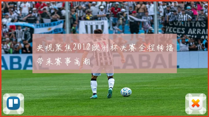 央视聚焦2012欧洲杯决赛全程转播带来赛事高潮