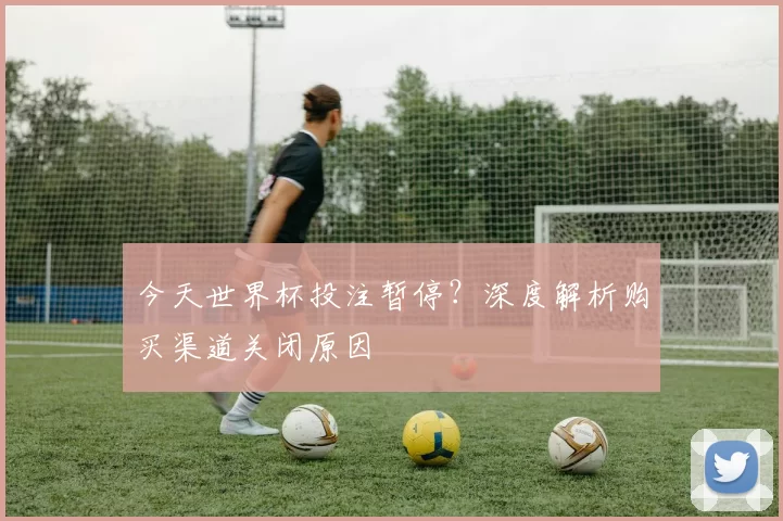 今天世界杯投注暂停？深度解析购买渠道关闭原因