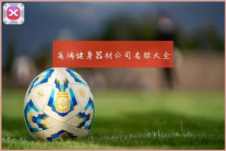 高端健身器材公司名称大全