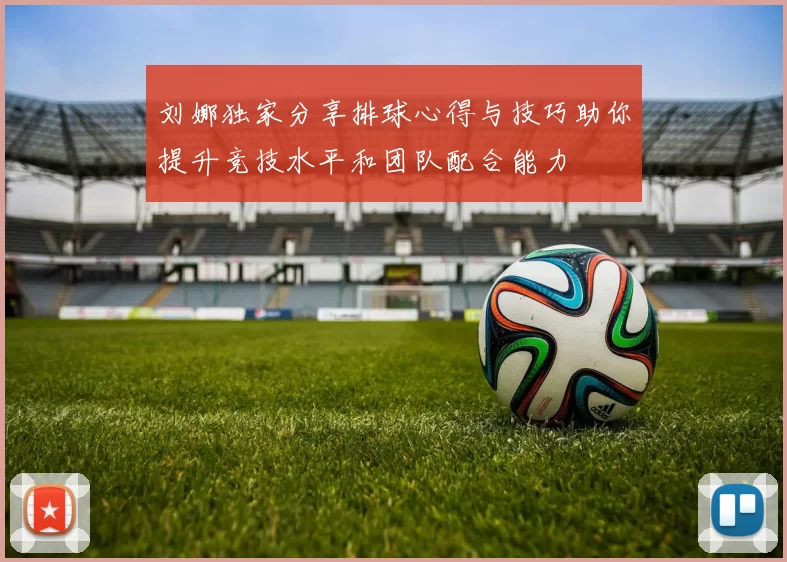 刘娜独家分享排球心得与技巧助你提升竞技水平和团队配合能力