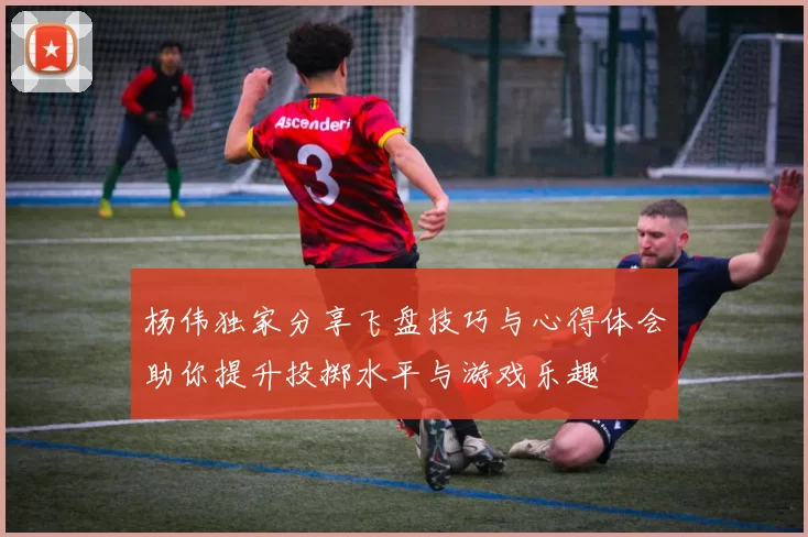 杨伟独家分享飞盘技巧与心得体会助你提升投掷水平与游戏乐趣