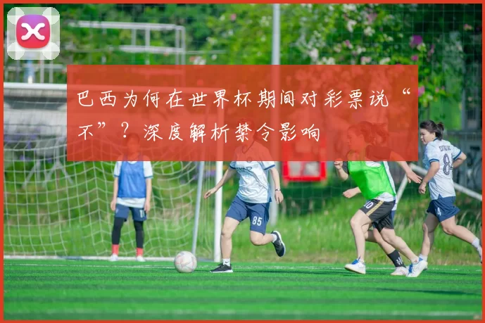 巴西为何在世界杯期间对彩票说“不”？深度解析禁令影响