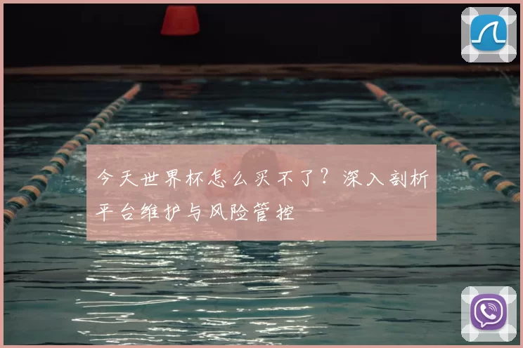 今天世界杯怎么买不了？深入剖析平台维护与风险管控