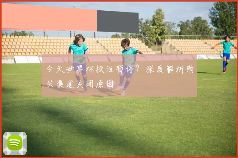 今天世界杯投注暂停？深度解析购买渠道关闭原因