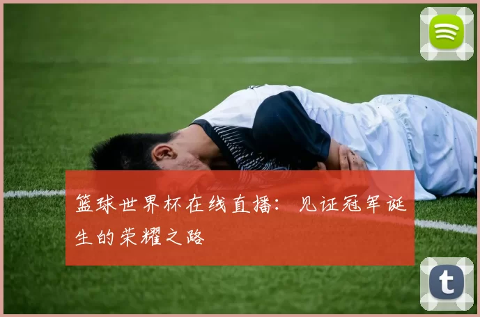 篮球世界杯在线直播：见证冠军诞生的荣耀之路