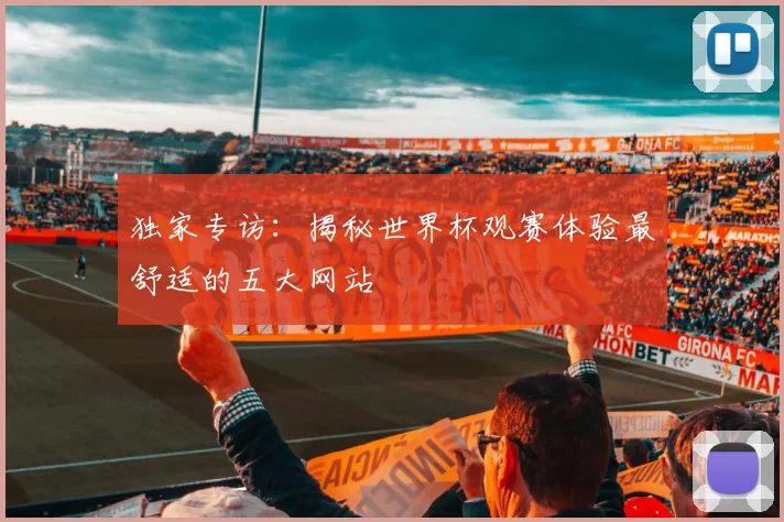 独家专访：揭秘世界杯观赛体验最舒适的五大网站