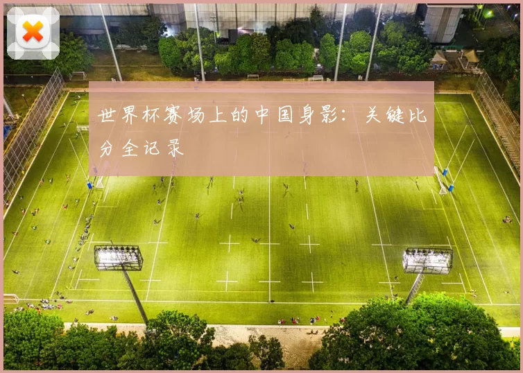 世界杯赛场上的中国身影:关键比分全记录