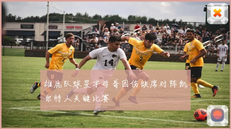 雄鹿队球星字母哥因伤缺席对阵凯尔特人关键比赛