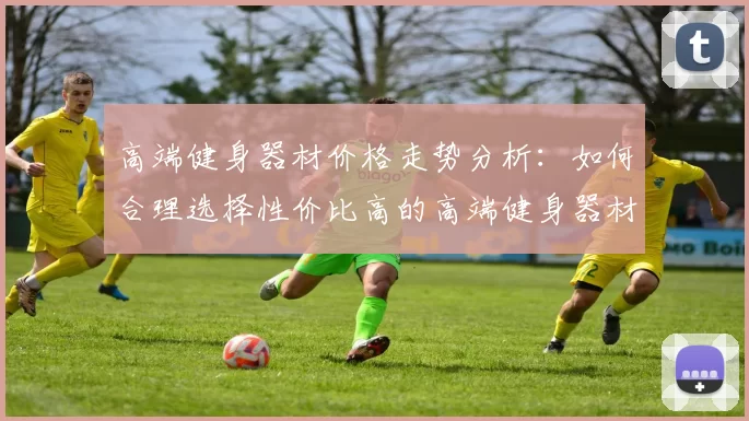 高端健身器材价格走势分析：如何合理选择性价比高的高端健身器材