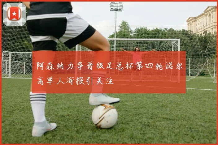 阿森纳力争晋级足总杯第四轮诺尔高单人海报引关注